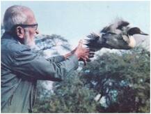 आज है 'बर्डमैन ऑफ इंडिया' सलीम अली का जन्मदिन, पक्षियों के अध्ययन में निभाई महत्वपूर्ण भूमिका