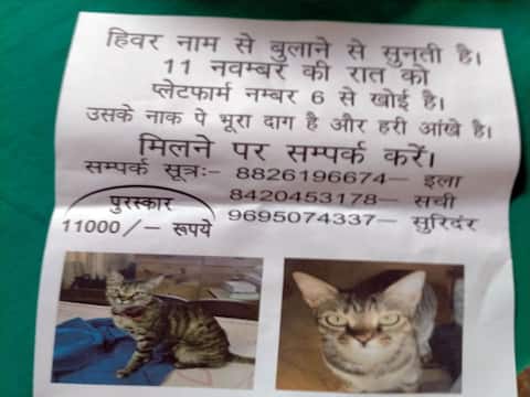 गोरखपुर रेलवे स्टेशन से गायब हुई पूर्व मुख्य चुनाव आयुक्त की बिल्ली, खोजने में जुटा पुलिस महकमा गोरखपुर रेलवे स्टेशन से गायब हुई पूर्व मुख्य चुनाव आयुक्त की बिल्ली, खोजने में जुटा पुलिस महकमा