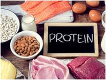 इंसानी शरीर के लिए कितना जरूरी है प्रोटीन? आसानी से इस तरह हासिल किए जा सकते हैं अहम न्यूट्रिएंट