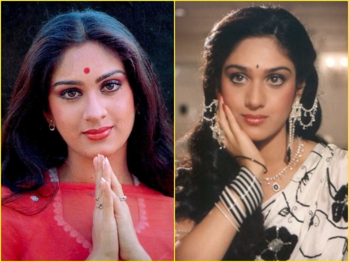 How did this actress become 'Damini' of Bollywood from the small town of Jharkhand, know झारखंड के छोटे शहर से आईं मीनाक्षी शेषाद्री कैसे बनीं बॉलीवुड की 'दामिनी'? जानें