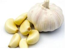 Weight loss: खाली पेट सुबह में लहसुन खाने से शरीर के स्वास्थ्य को इस तरह हो सकता है फायदा