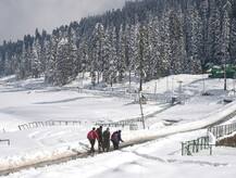 हिमाचल के इस गांव में एक शख्स को छोड़कर सभी कोरोना संक्रमित, पर्यटकों के आने पर लगी रोक