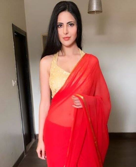 जी हां, अलीना को लोग कटरीना की लुक अलाइक होने के चलते जानते हैं. 