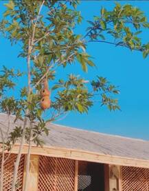 अपने पैतृक गांव में कुमार विश्वास ने बनाया सपनों का आशियाना, देखें आलीशान बंगले की तस्वीरें