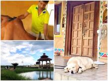 अपने पैतृक गांव में कुमार विश्वास ने बनाया सपनों का आशियाना, देखें आलीशान बंगले की तस्वीरें