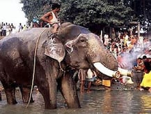 बिहार: विश्‍व प्रसिद्ध हरिहर क्षेत्र के मेले पर लगा ग्रहण, कोरोना का दंश झेलेगा सोनपुर मेला