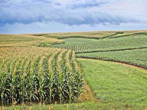 सोनभद्र: सालों से बंजर पड़ी जमीन को बना दिया उपजाऊ, कड़ी मेहनत के बाद ये उगा रहे सब्जियां सोनभद्र: सालों से बंजर पड़ी जमीन को बना दिया उपजाऊ, कड़ी मेहनत के बाद ये उगा रहे सब्जियां