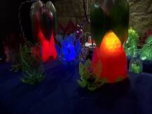 देहरादून: फेंकी गई प्लास्टिक की बोतलों से तैयार किए जाते हैं खूबसूरत नाइट लैम्प, पर्यावरण संरक्षण के साथ मिल रहा है रोजगार