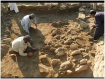 पाकिस्तान के स्वात में 1300 साल प्राचीन हिंदू मंदिर का चला पता, हिंदू शाही काल में निर्माण होने की बात