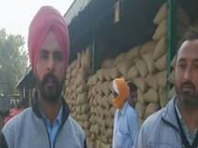 पीलीभीत: मंडी में रिश्वत लेकर तौली जा रही है किसानों की फसल, वायरल हुआ ऑडियो