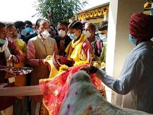 MP में गऊ-कैबिनेट की पहली बैठक, सीएम शिवराज ने की अध्यक्षता