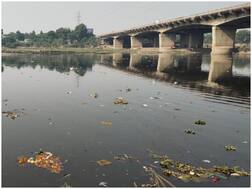 NGT ने भंग की यमुना नदी की देखरेख के लिए गठित समिति, कमिटी की रिपोर्ट में प्रदूषण के प्रमुख कारण जस के तस