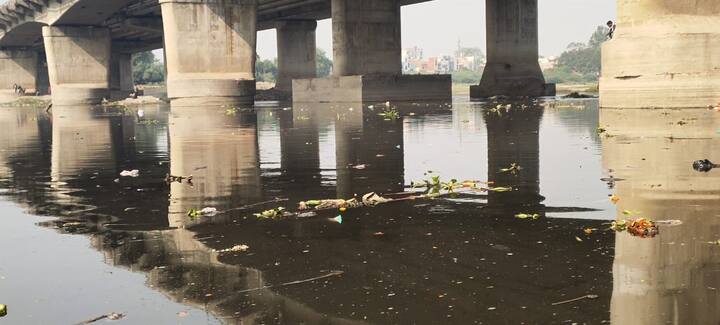   देवाशीष भट्टाचार्या ने कहा कि लोग समझते नहीं है कि वे नदियों में सिर्फ प्रदूषण के स्तर को बढ़ा रहे हैं.