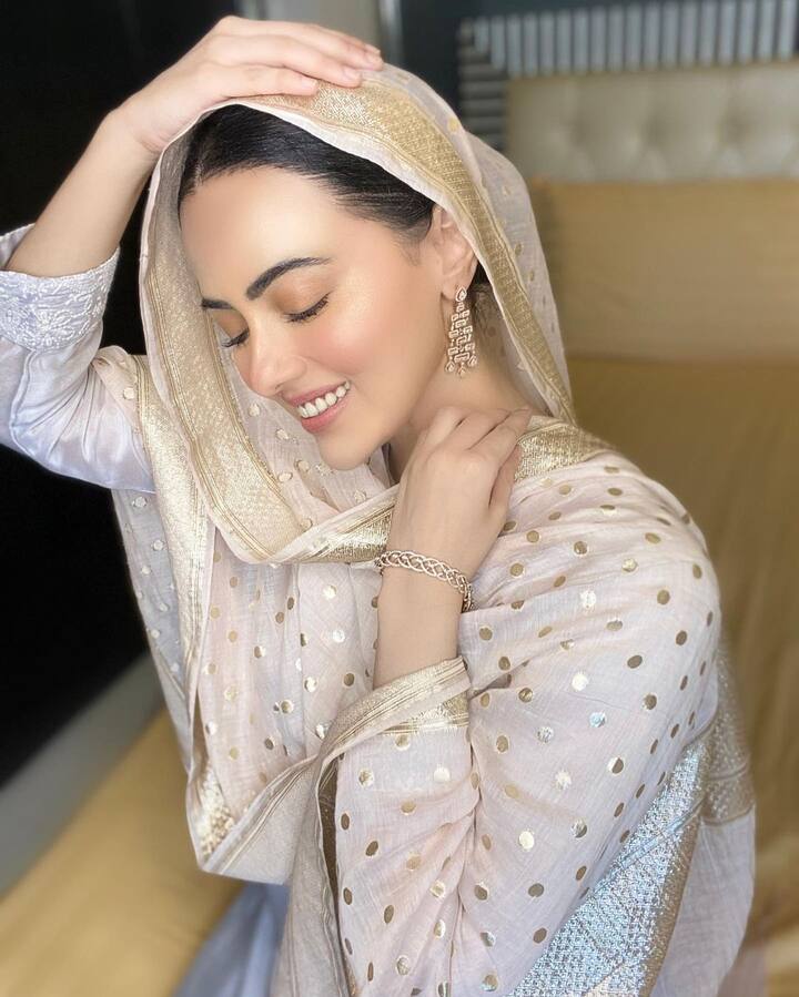 सना खान को  बचपन से ही एक्टिंग का शौक था. उन्होंने कई विज्ञापन और सीरियल में काम किया. लेकिन उन्हें असली पहचान बिग बॉस के छठे सीजन में आने के बाद ही मिली थी.