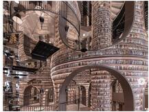 चीन का ये बुक स्टोर हैरी पॉटर की काल्पनिक दुनिया से बहुत ज्यादा प्रेरित दिखता है, आप भी देखें