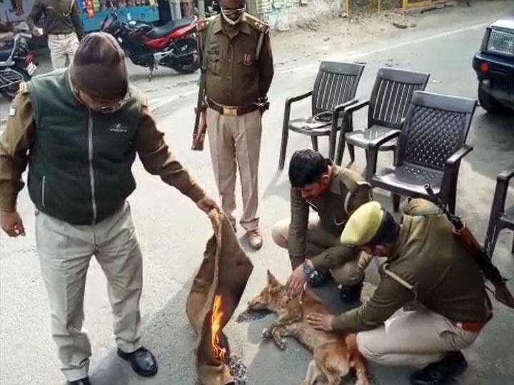 policemen save dog in meerut uttar pradesh ann मेरठ: ठंड से परेशान कुत्ते की जान बचाने के लिए मसीहा बने पुलिसकर्मी, आग जलाई और चाय पिलाकर दी गर्मी