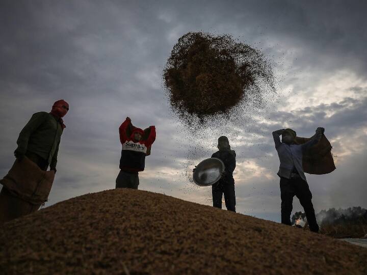 Paddy procurement accelerates in Bihar as procurement process is simplified बिहार में खरीद प्रक्रिया सरल किए जाने पर धान की खरीदी में तेजी, इतना है लक्ष्य