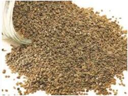 Health Tips: अजवाइन पानी अस्थमा, वजन घटाने में है शानदार, क्या अनियमित मासिक धर्म में भी है कारगर? जानिए