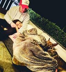 New York हो या Los Angeles, अमेरिका में इतने आलीशान घरों में रहती हैं Priyanka Chopra