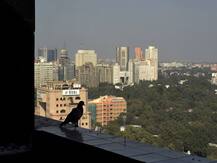 Delhi Pollution: तेज हवाओं और पराली के कम जलने से एयर क्वालिटी में सुधार