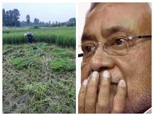 बिहार: राज्य में जमीनी विवाद को खत्म करने की सरकार की नई पहल, जाने सरकार की क्या है नई रणनीति