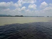 लद्दाख में तनातनी के बीच ब्रह्मपुत्र नदी पर चीनी डैम का भारत कुछ ऐसा देगा जवाब