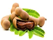 Health Tips: वजन को जल्दी कम करने के लिए रोजाना पिएं ये जूस, दिल के लिए भी है फायदेमंद