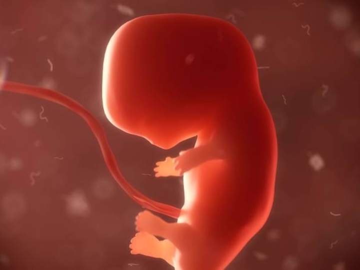 Woman uses 27-Year-old Embryo and gives birth to healthy baby girl, breaking records हैरतअंगेज़ लेकिन सच: 27 साल पुराने भ्रूण से पैदा हुआ स्वस्थ बच्चा, विज्ञान की दुनिया में नया चमत्कार