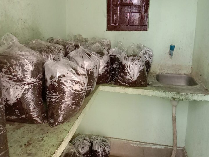 Bihar: When tenants vacate house in lockdown, then landlords are becoming self-sufficient by cultivating mushrooms ann