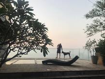 इन अलग अलग तस्वीरों में दिखती है अभिनेता John Abraham के लग्ज़री हाउस की झलक, आप भी देखें