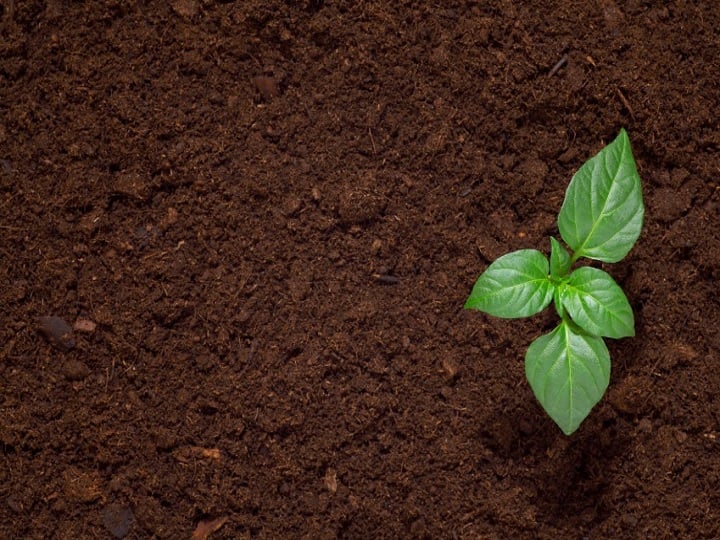 World Soil Day 2020 Know when first celebrated world soil day and its theme विश्व मृदा दिवस 2020: जानिए क्यों मनाया जाता है विश्व मृदा दिवस और कब से हुई मनाने की शुरूआत