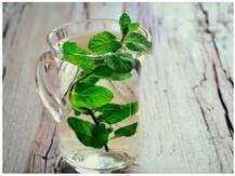 सेहत के साथ पुदीना आपकी बाहरी खूबसूरती में भी करता है इजाफा, जानिए चार हैरतअंगेज फायदे