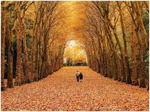 Photos: इन देशों की खूबसूरती सैलानियों का जीत लेगी दिल, बेस्ट हनीमून डेस्टिनेशन्स में इन जगहों का नाम है शामिल
