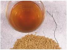 डायबिटीज, कब्ज, नजला और जुकाम के इलाज में मेथी है कारगर नुस्खा, कील-मुहांसों को भी करेगा दूर