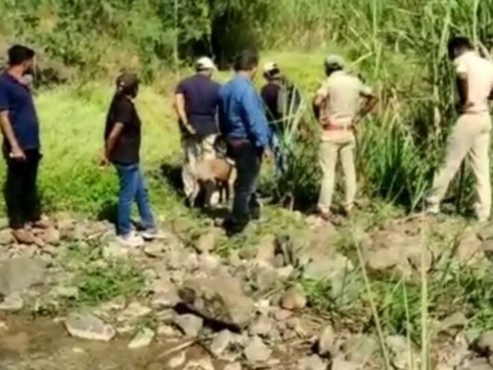 Cannibal leopard killed 9 people in Maharashtra's Solapur, villagers demand death ANN महाराष्ट्र के सोलापुर में नरभक्षी तेंदुए ने ली 12 लोगों की जान, ग्रामीणों ने की जान से मारने की मांग