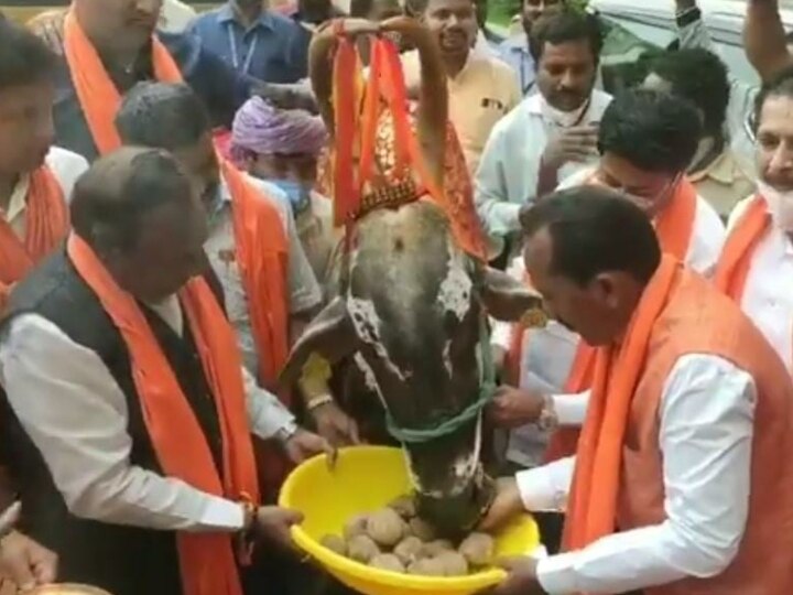 Karnataka Prevention of Slaughter and Preservation of Cattle Bill passed in Assembly ANN गो-हत्या रोकने के लिए इस राज्य में हुआ बिल पास, खुशी में BJP के मंत्री ने विधानसभा में की गाय की पूजा