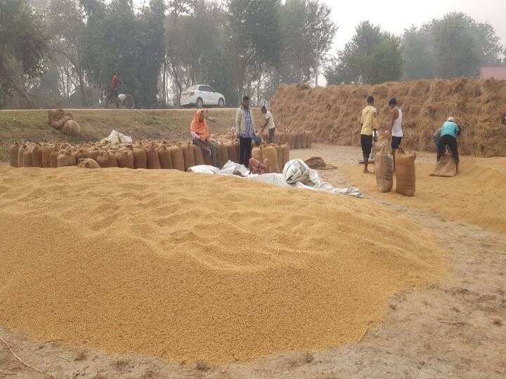 Bihar government increases paddy purchase limit, CM Nitish said - purchase expected to be very high बिहार सरकार ने बढ़ाई धान खरीद की सीमा, सीएम नीतीश बोले- खरीद बहुत अधिक होने की उम्मीद