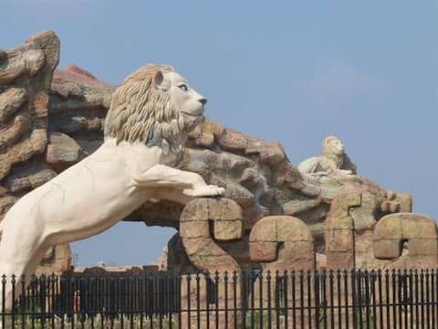 इटावा: लॉयन सफारी में शेरनी जेसिका ने दिया दो शावकों को जन्म, पार्क में खुशी का माहौल इटावा: लॉयन सफारी में शेरनी जेसिका ने दिया दो शावकों को जन्म, पार्क में खुशी का माहौल
