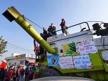 किसान आंदोलन में चर्चा का विषय बना हुआ है एक बाज, पढ़ें पूरी खबर