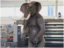 सोशल मीडिया पर वायरल हुआ चॉकलेट एलिफैंट, आप भी देखें