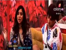 Big Boss 14: गुस्साए विकास गुप्ता ने अर्शी की बदतमीजी से तंग आकर दे दिया पूल में धक्का, हुए घर से बाहर