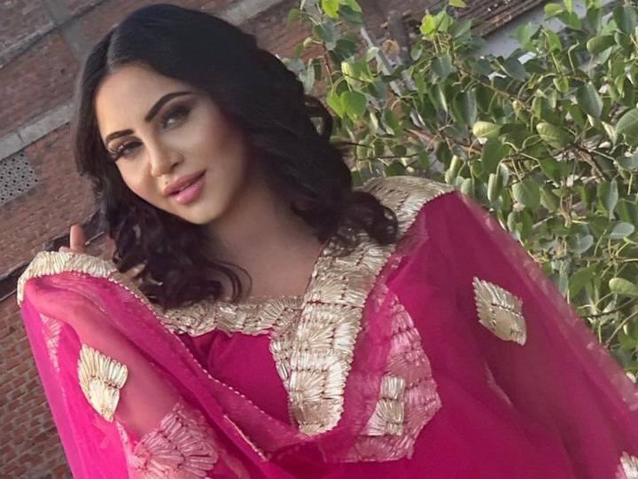 गहना ने दावा किया है कि अर्शी खान ने अपनी उम्र के बारे में झूठ बोलती हैं और बिग बॉस 14 के घर में एंट्री करने के लिए अर्शी  ने फर्जी एजुकेशनल डॉक्यूमेंट दिखाएं हैं. 