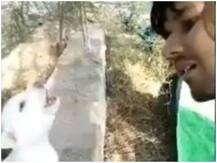 कुत्ते के बच्चे ने ऐसे छेड़े सुरों के तार कि वायरल हो गया वीडियो, आप भी देखें