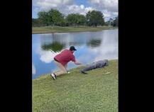 Viral Video: मगरमच्छ से गेंद छीनने गया गोल्फर, जानिए फिर क्या हुआ?
