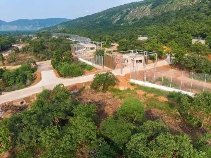 राजगीर में बनी जू सफारी को सेंट्रल जू अथॉरिटी ने भी मान्यता दे दी है. इसके साथ ही नए साल यानी 2021 में इसे आम जनता के लिए खोला जा सकता है.