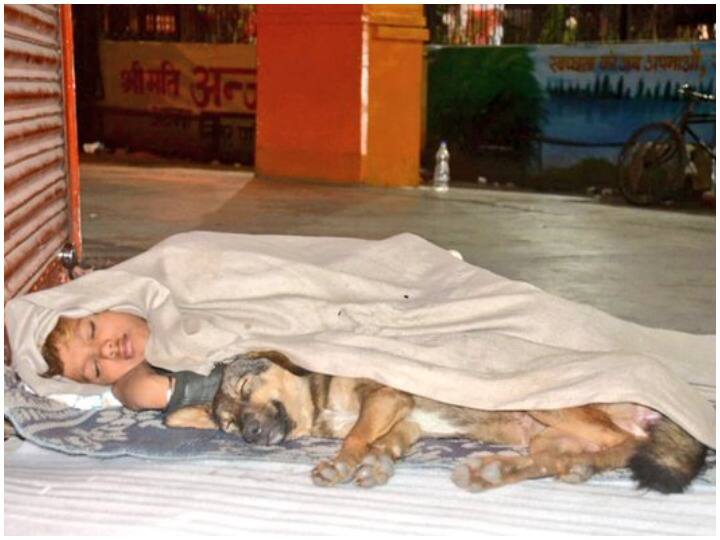 Innocent child sleeping with dog in bitter cold, Muzaffarnagar police came forward for help ANN कड़कड़ाती ठंड में कुत्ते के साथ सो रहा मासूम बच्चा, मदद के लिए आगे आई मुजफ्फरनगर पुलिस