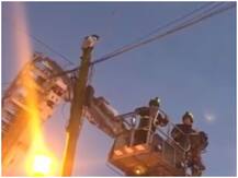 खंबे पर चढ़ी बिल्ली को उतारने के लिए फायर फाइटर्स ने चलाया रेस्क्यू ऑपरेशन, देखें वीडियो