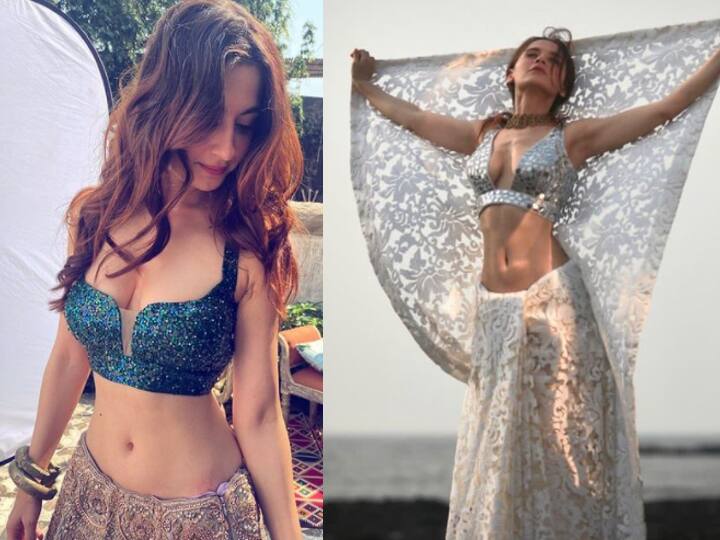 2008 में ये कपल 'सीरियल क्या दिल में है' में भी साथ नजर आया था.  संजीदा 'एक हसीना थी', 'लव का है इंतज़ार', 'इश्क का रंग सफेद' जैसे सीरियल में भी नजर आ चुकी हैं.   