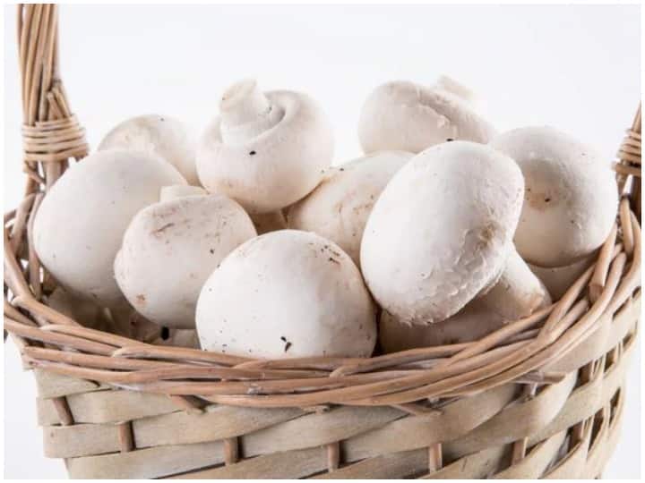 मशरूम से फायदा हासिल करने के लिए पकाने के तरीके पर ध्यान देना है जरूरी, जानिए बनाने का सही उपाय Trying to get benefit from mushrooms, pay attention to the way it prepares मशरूम से फायदा हासिल करने के लिए पकाने के तरीके पर ध्यान देना है जरूरी, जानिए बनाने का सही उपाय