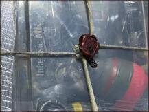 पंजाब में ड्रोन से हथियार भेज रहा पाकिस्तान, गुरदासपुर में सर्च ऑपरेशन में पुलिस ने बरामद किए 11 ग्रेनेड